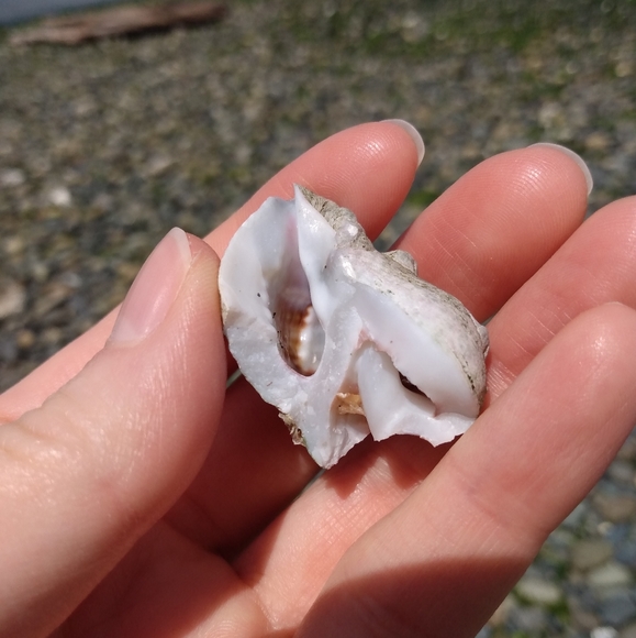 Meet your Posher, stargirlshop - Picture 2 of 2